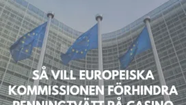 Europeiska kommissionens förslag